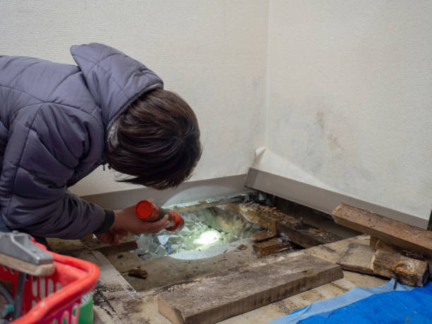 Best HVAC Mold Inspection and Cleaning  in Pelham, GA