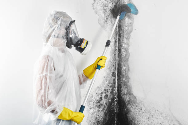 Best Forensic Mold Investigation  in Pelham, GA