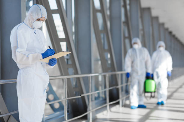 Best Basement Mold Removal  in Pelham, GA