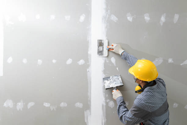 Best Mold Remediation for Vacation Homes  in Pelham, GA