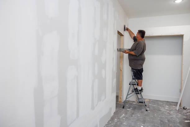  Pelham, GA Mold Removal Pros