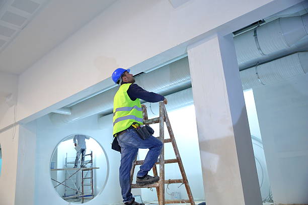 Best Commercial Mold Inspection  in Pelham, GA